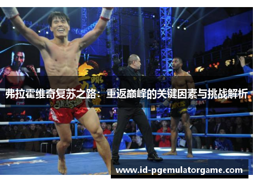 弗拉霍维奇复苏之路：重返巅峰的关键因素与挑战解析